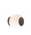 moyb.PNG