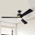 westinghouse-tristan-wentylator-czarny-wisniowy.webp
