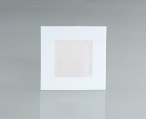 Oprawa schodowa ANGEL 12 LED 230V, 12V