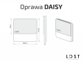 opis daisy.PNG