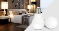6W Dual White LED Light Bulb3.PNG