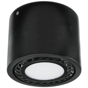 Oprawa sufitowa natynkowa OVAL-MINI AR111