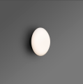 Sun 70823 FARO 2.PNG