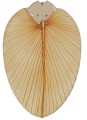 CASAFAN_FLUEGELSATZ_PALME_NATUR_19901.jpg