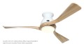 CASAFAN_ECOREGENTO140WE-NT_314053-3160_2.jpg