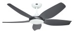 Wentylator ECO VOLARE 116 WE-BG