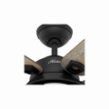 50648_zHousing.jpg