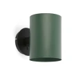 zielomna.webp