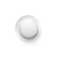 40095.webp