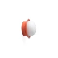 40098faro.webp