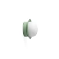 40099far.webp