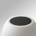 moy2.webp