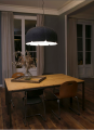 Lampa wisząca  sufitowa Mute 20101 5.PNG