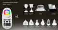 RGBW Remote Control With Button5.PNG