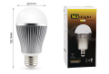 9W Dual White LED Light Bulb9.png