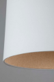 Tree 29865 FARO 2.PNG