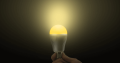 9W Dual White LED Light Bulb4.PNG