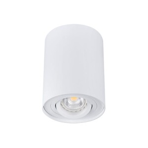 Oprawa sufitowa natynkowa BORD DLP-50-W