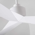 lace.jpg