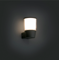 Roy 72350 Faro 2.PNG