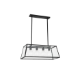 Rose 65081 FARO 1.PNG