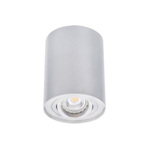 Oprawa sufitowa natynkowa BORD DLP-50-AL