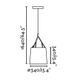 Tree 29865 FARO 5.PNG