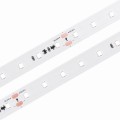 2835-350-CCS-L.jpg